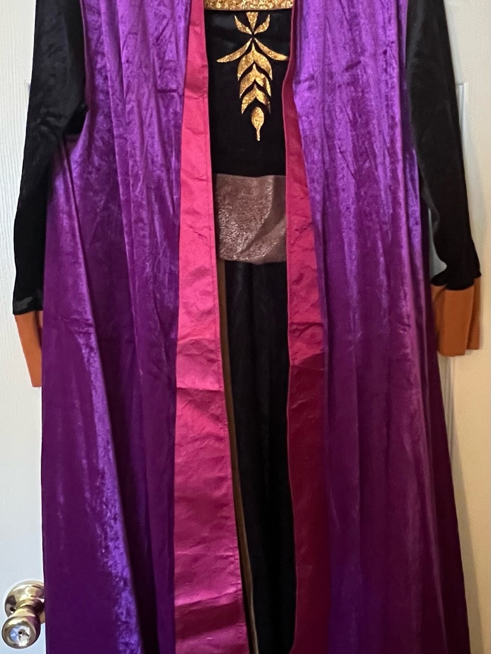 Disney Frozen Anna Deluxe Adult Costume XL/EG/TG (18-20) - Picture 8 of 12